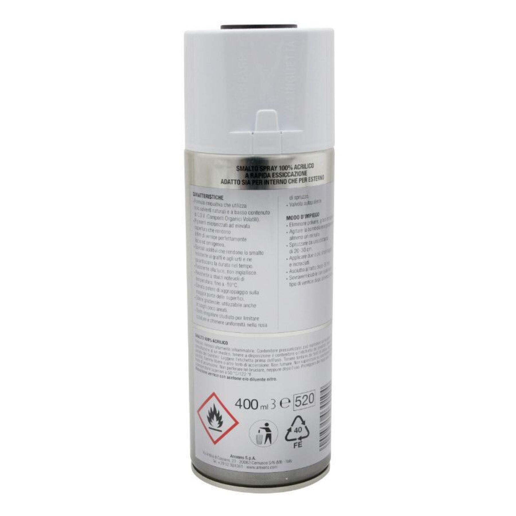 Motorcycle spray paint Arexons 100 (3652)