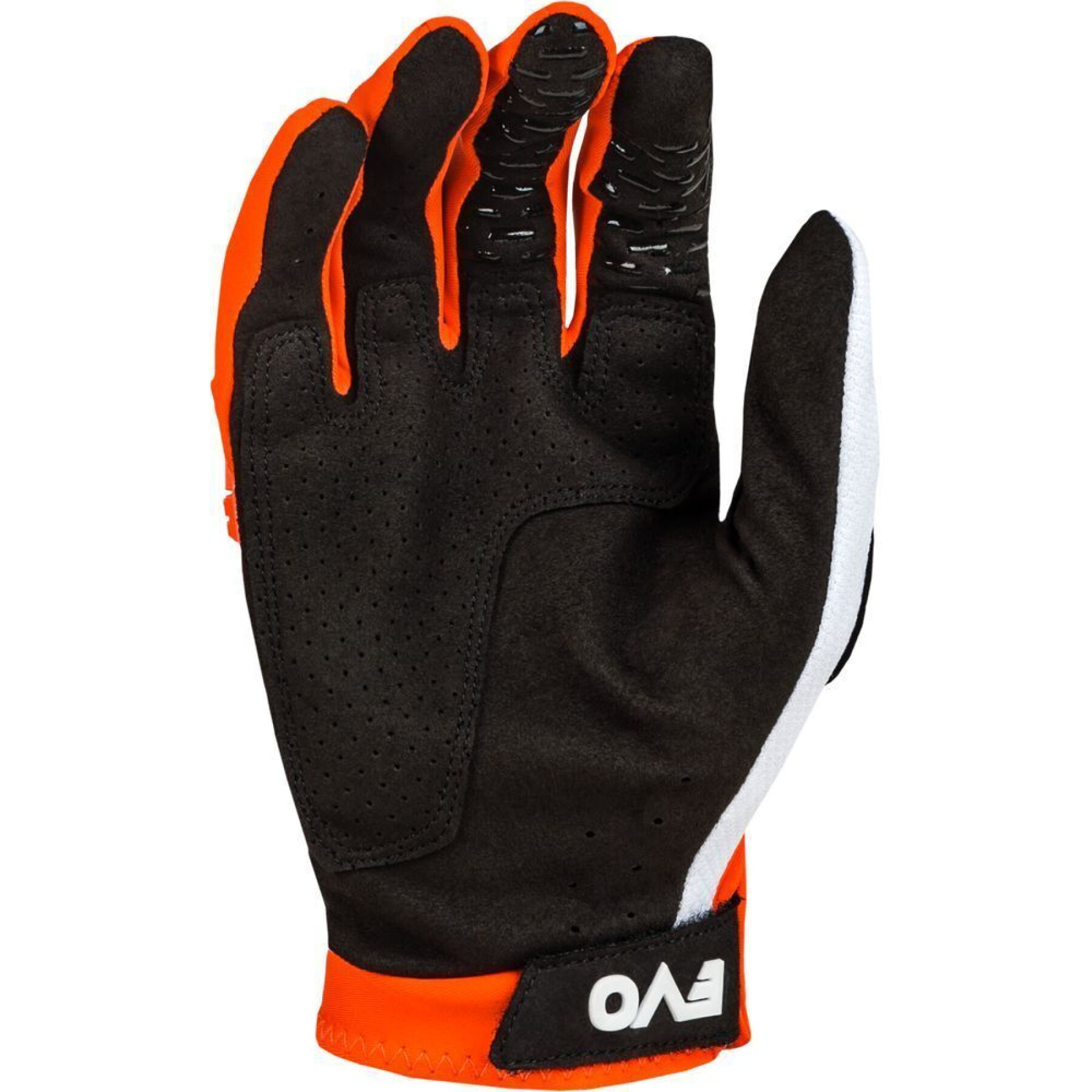 Motorcycle cross gloves Fly Racing Evo L.E Podium