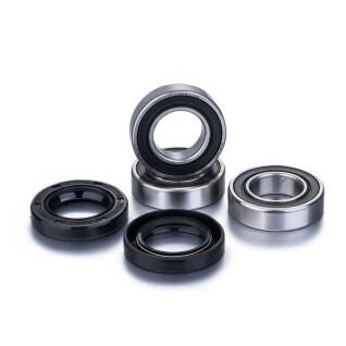 Rear wheel bearings for all motorcycle models Factory Links