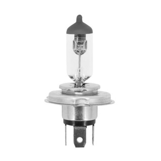 Halogen bulb P2R Hs1 35-35W Px43T