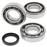 Crankshaft bearings and seals kit All Balls Racing